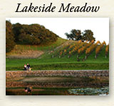 Lakeside Meadow